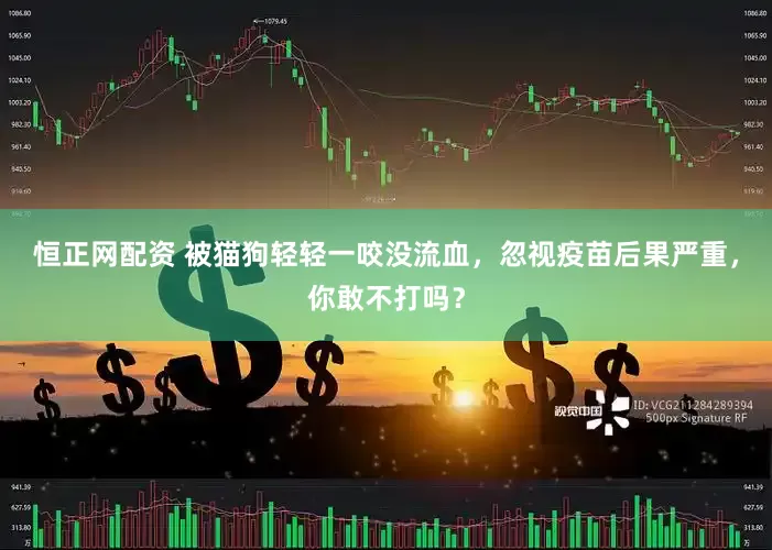 恒正网配资 被猫狗轻轻一咬没流血，忽视疫苗后果严重，你敢不打吗？