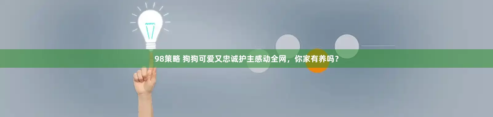 98策略 狗狗可爱又忠诚护主感动全网，你家有养吗？