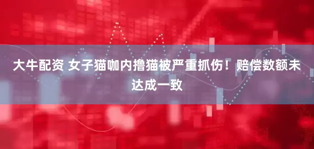 大牛配资 女子猫咖内撸猫被严重抓伤！赔偿数额未达成一致