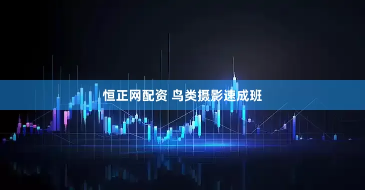 恒正网配资 鸟类摄影速成班