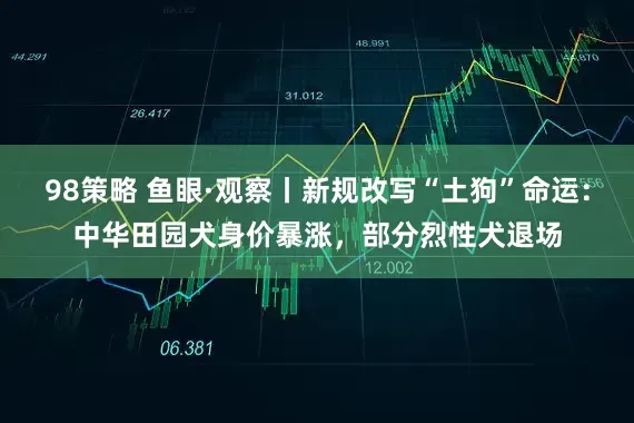 98策略 鱼眼·观察丨新规改写“土狗”命运：中华田园犬身价暴涨，部分烈性犬退场