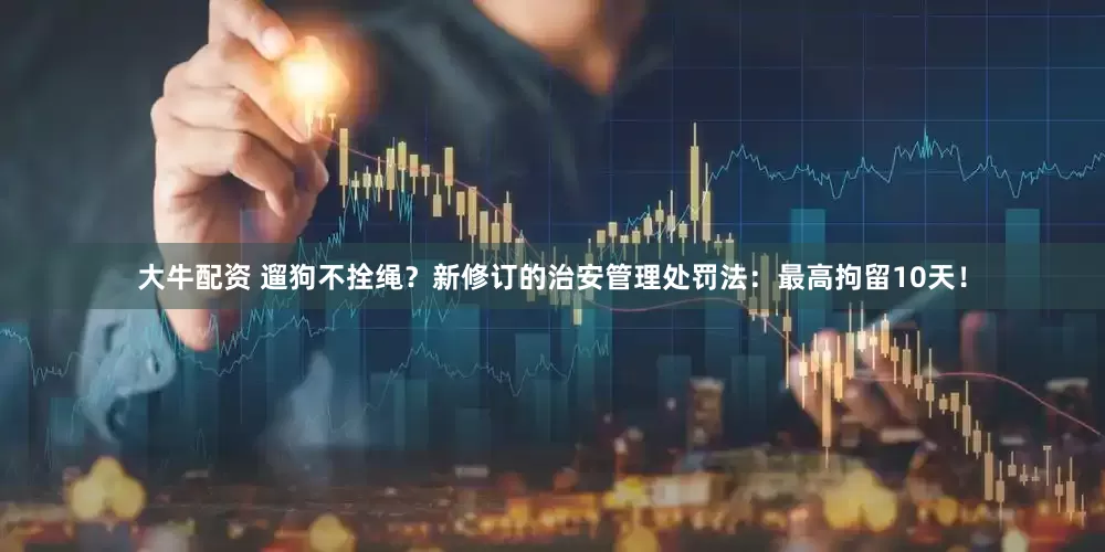 大牛配资 遛狗不拴绳？新修订的治安管理处罚法：最高拘留10天！