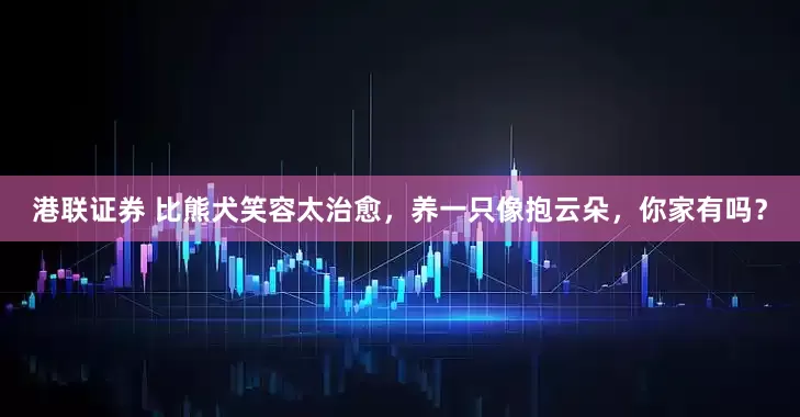 港联证券 比熊犬笑容太治愈，养一只像抱云朵，你家有吗？